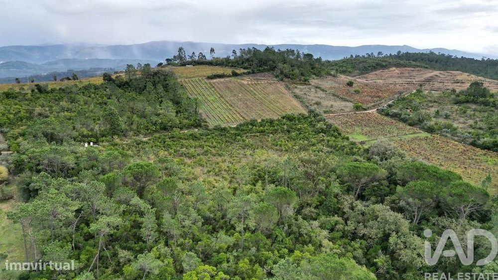 Terreno Agrícola em Condeixa-a-Velha e Condeixa-a-Nova