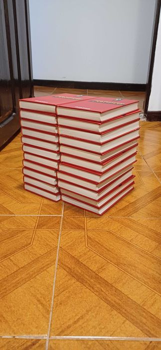 Livros enciclopédia larousse ,conjunto de 22 livros.