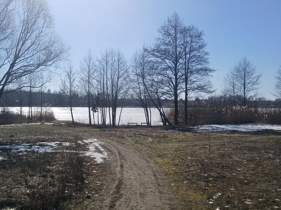 Ділянка з виходом на озеро