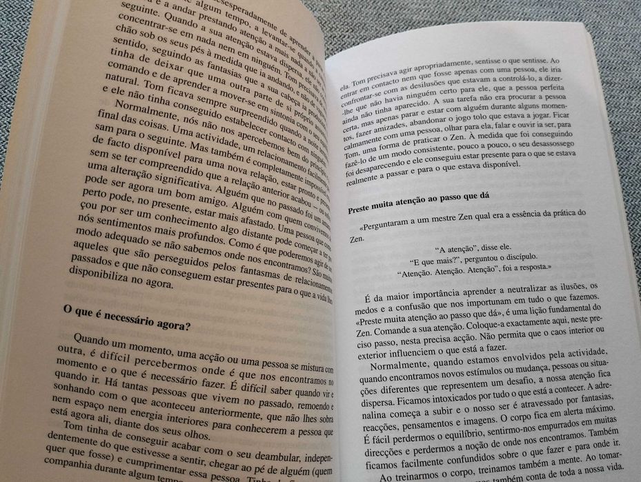 Livro "Zen e a arte de amar" de Brenda Shoshanna