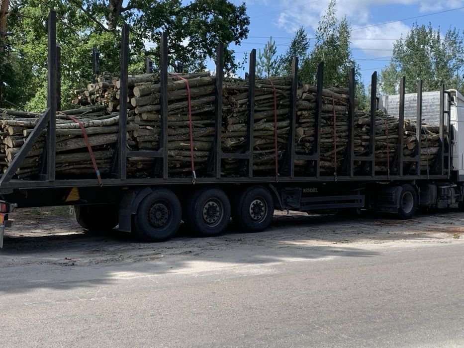 Послуги лісовоза