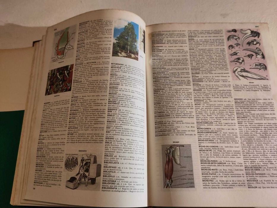 Dicionário enciclopédico Koogan Larousse