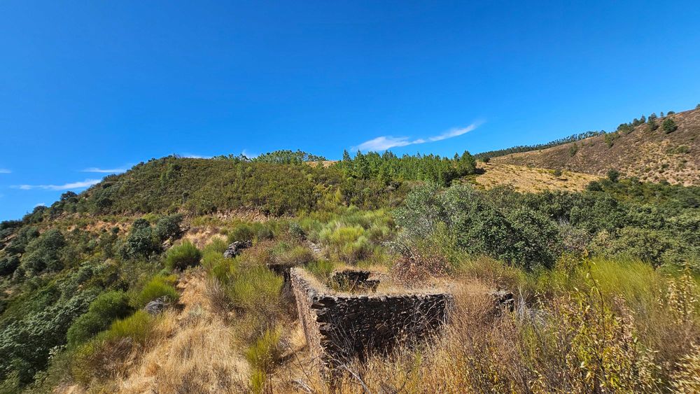 Terreno Rústico com 43 Hectares em Nisa, Portalegre