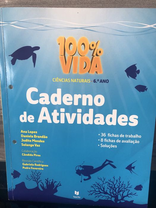 Livros de fichas do 6° ano