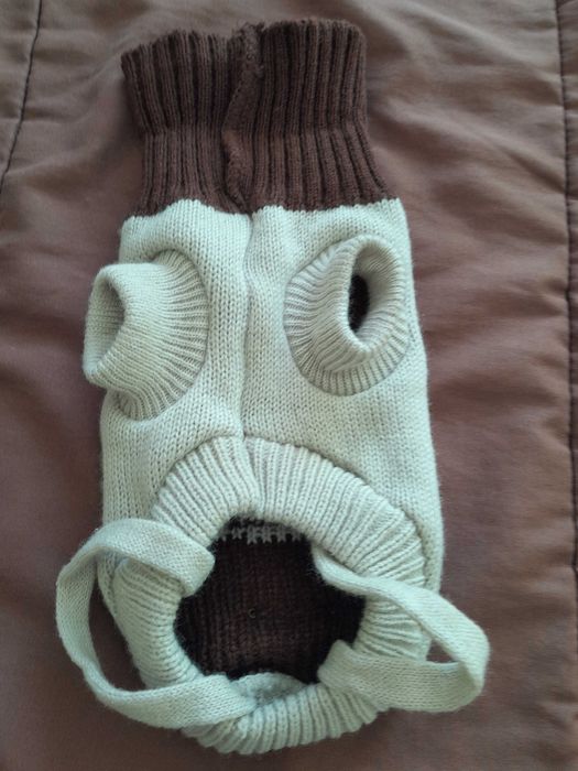 Roupa cão, pequeno porte