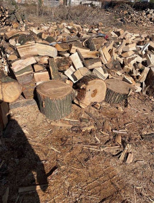 Дрова Акация, лучшая цена|от 3кубов