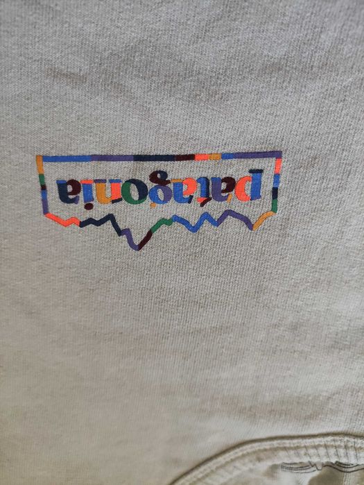 Чоловіча кофта patagonia