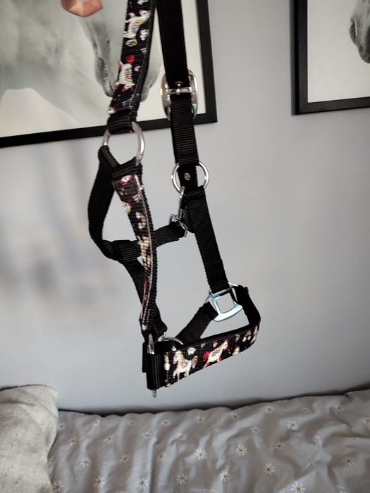 Kantar pony w jednorożce