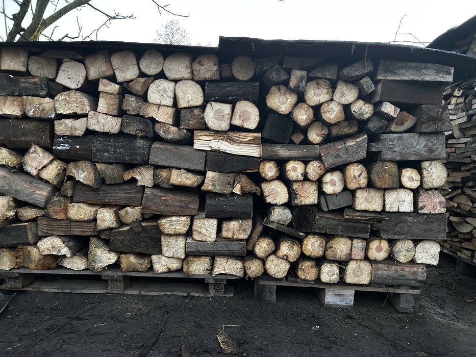 Suche drzewo opalowe