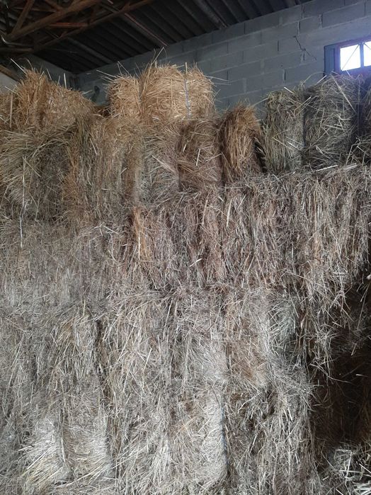 Fardos de centeio com aveia