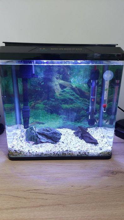 Sprzedam akwarium 16L.