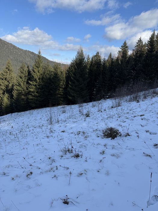 Земельна ділянка в горах Карпатах, Верховина, під забудову