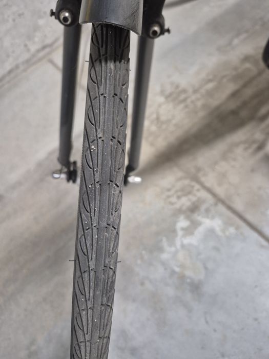 Rower Everton city zone