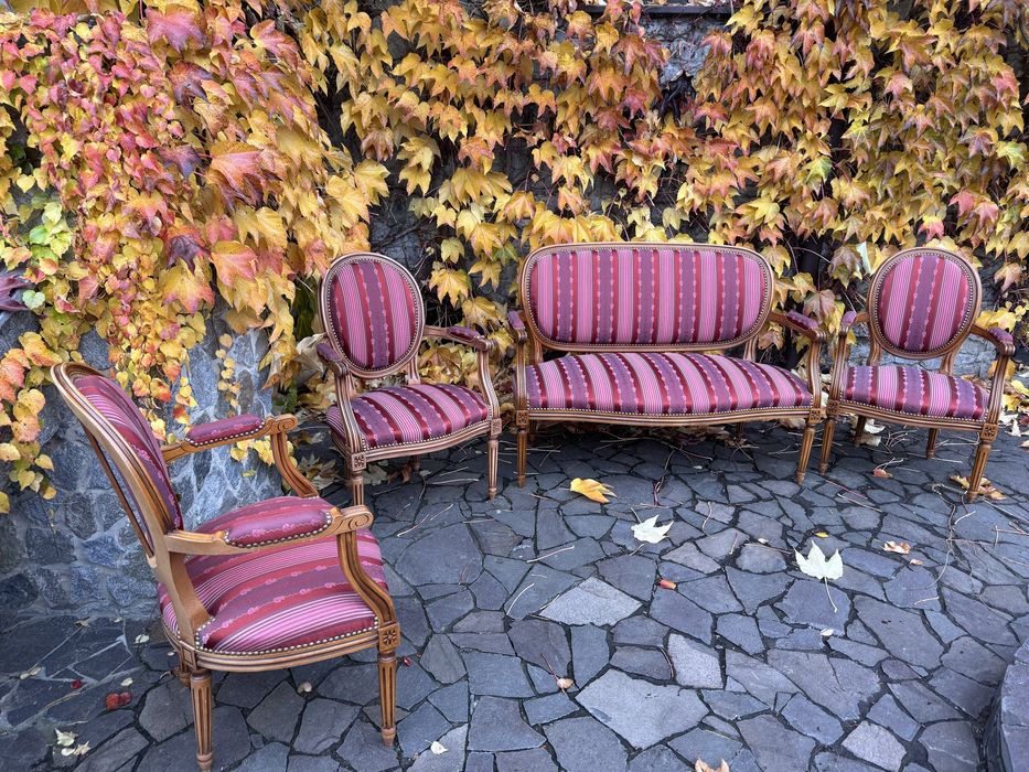 Антикварний набір меблів в стилі Людовика