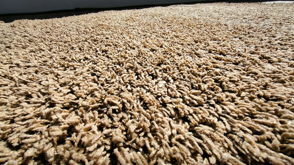 Conjunto de 2 tapetoes (150x78) e 1 carpete (200x138)