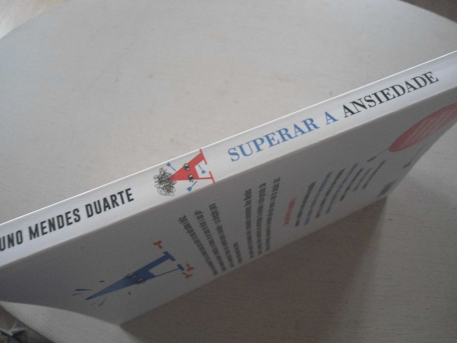 Superar a Ansiedade - Um manual para conquistar uma vida calma