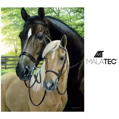 Haft diamentowy MOZAIKA 5D- Konie