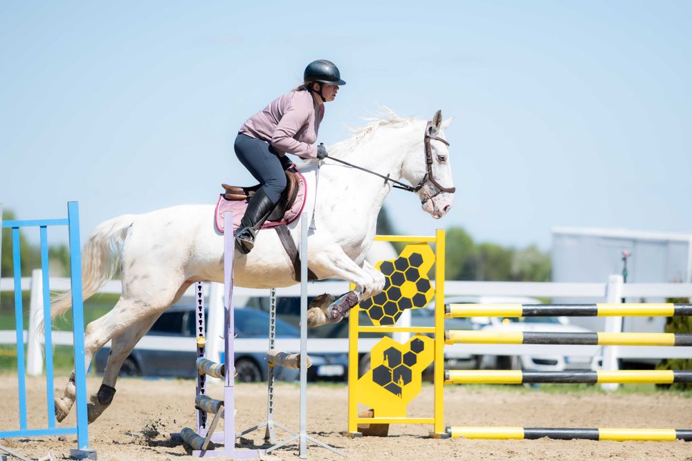 Sprzedam wałacha dla dziecka lub amatora