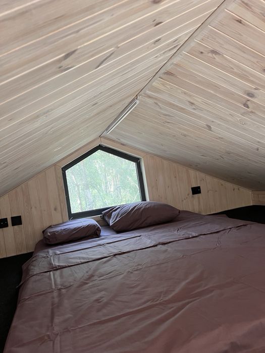 Здам будиночок в лісі біля Киівського моря