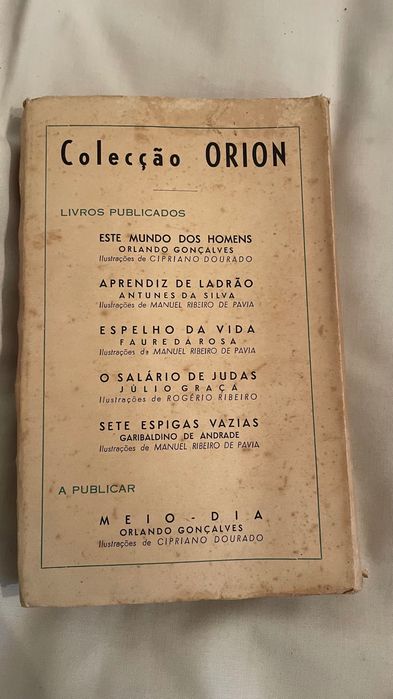 Livro Sete Espigas Vazias
