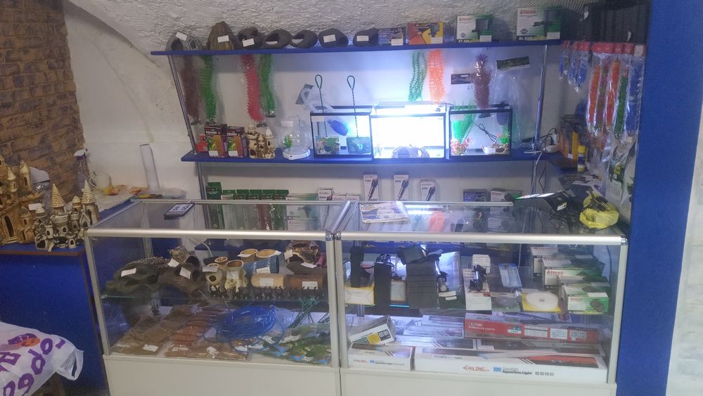 Аквариумы новые 22л,34л, 52л, 54л, 65 аквариумные рыбки