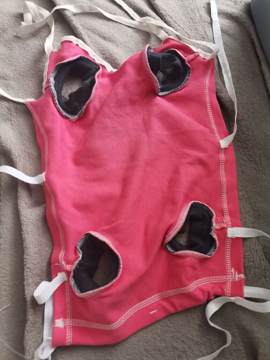 Ubranko dla suczki po styrylizacji