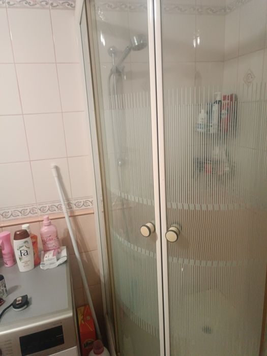 Gołębie kingi dobra klasa