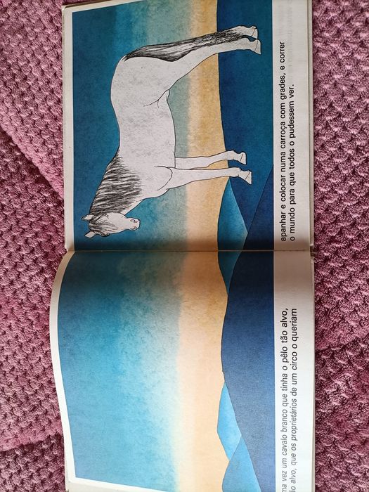 Livro O cavalo branco do ano 1982
