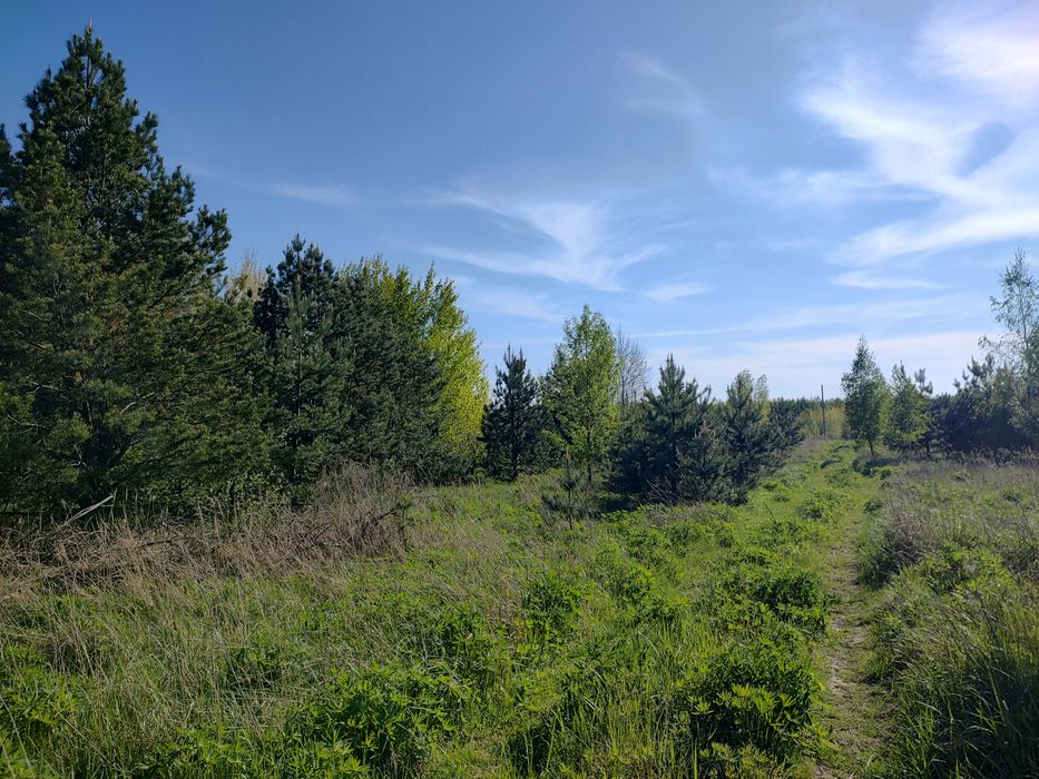 Дмитрівка, Куба,  земельна ділянка 10 соток