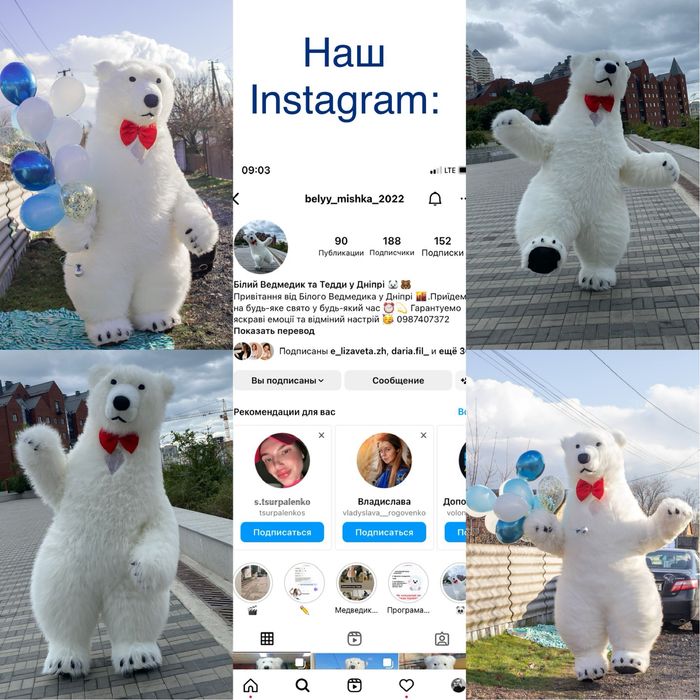 Мишка, Ведмедик, Аниматор