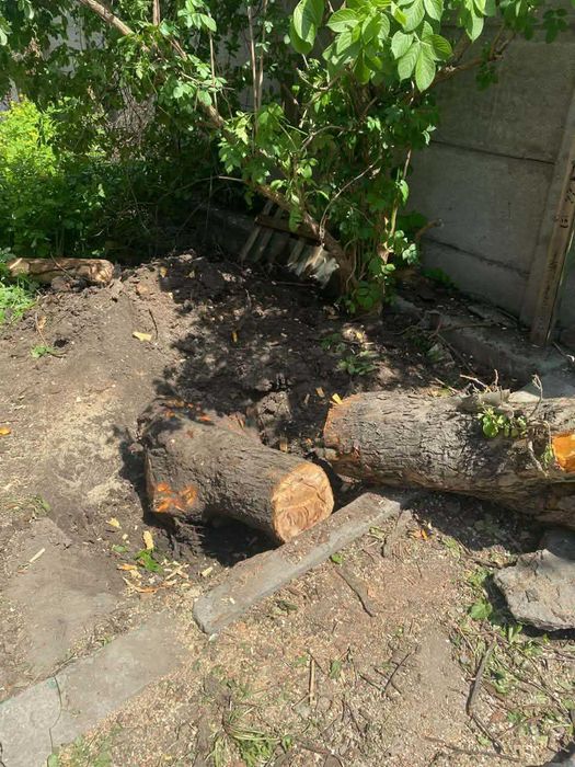 УБОРКА Территорий, Планировка участка, СПИЛ ДЕРЕВЬЕВ, Расчистка участков, Выравнивание