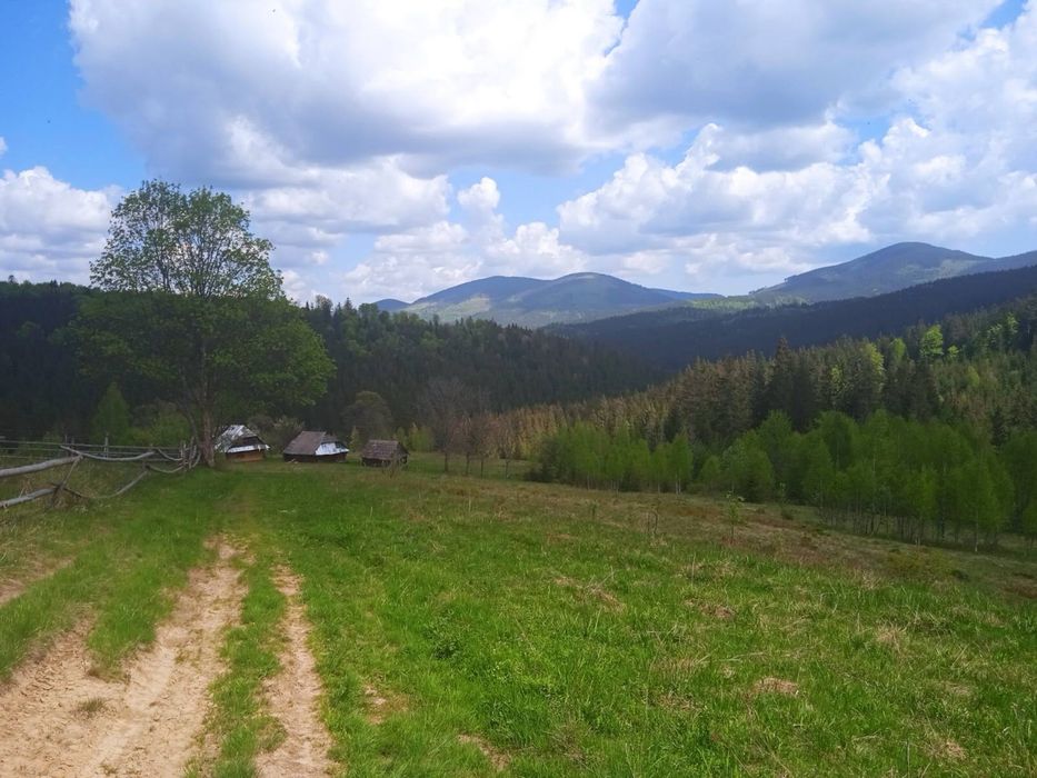 Продаж земельної ділянки під забудову с Вишків
