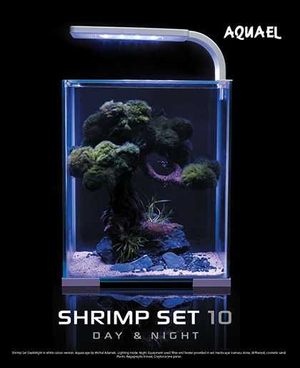 AquaEl shrimp set 10L czarny