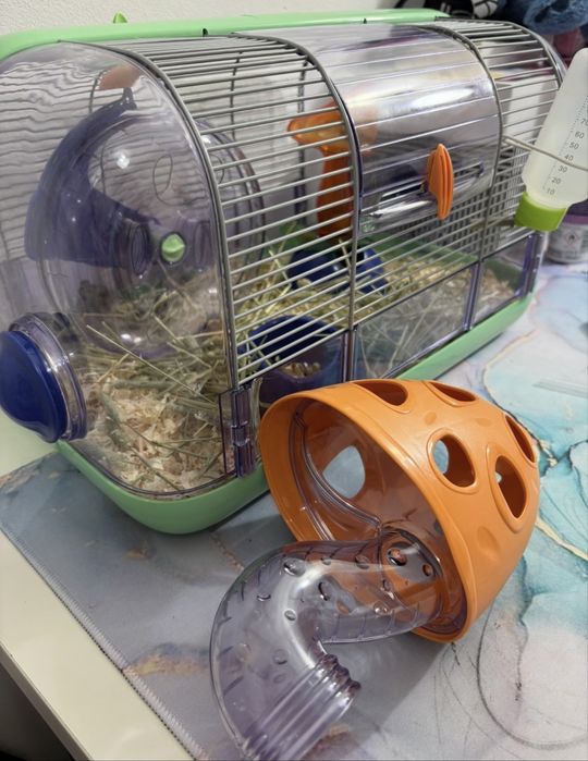 Gaiola hamster como nova