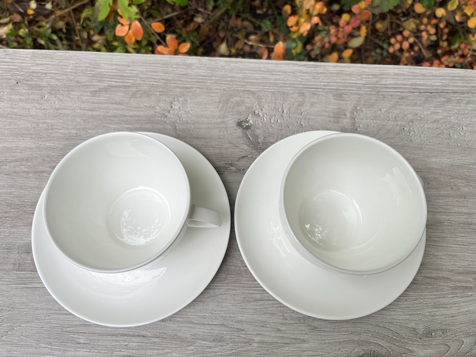 Кістяна порцеляна Bone China