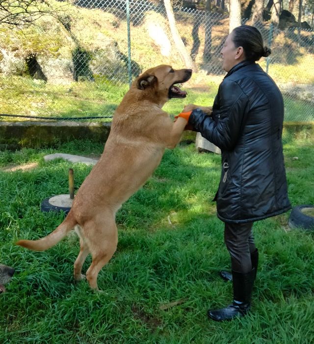 O MAX está para adoção;