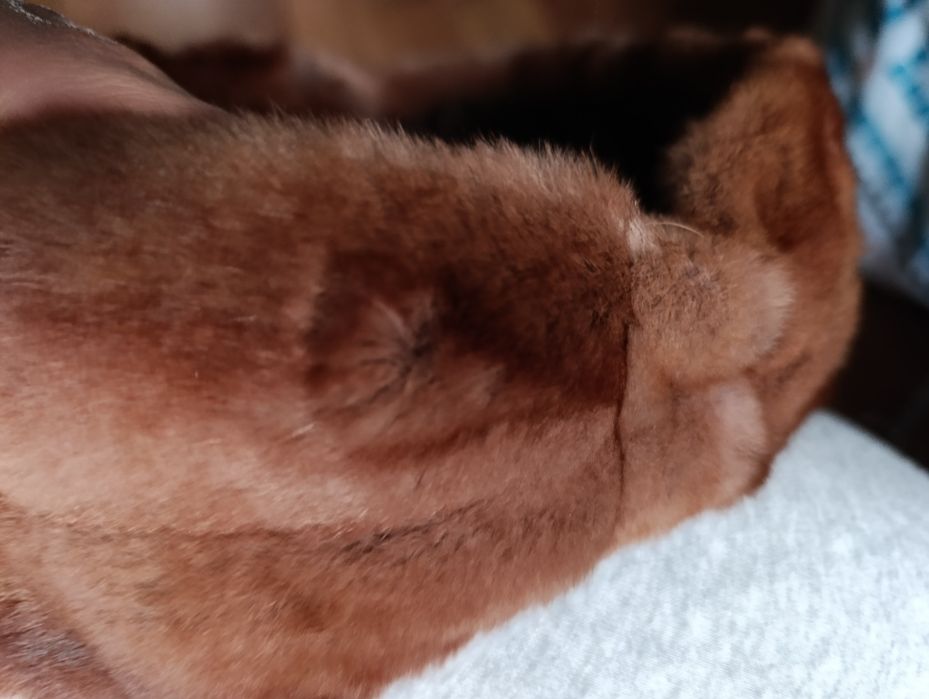 Opaska z naturalnego futra królika