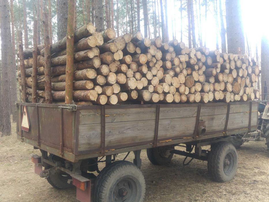 Sprzedam drewno opał