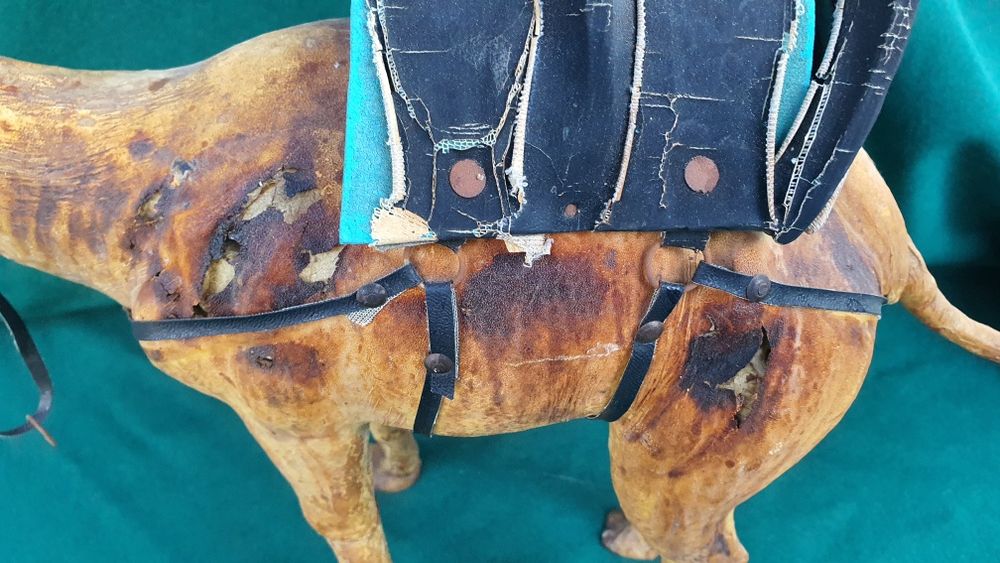 Верблюд   кожа большой