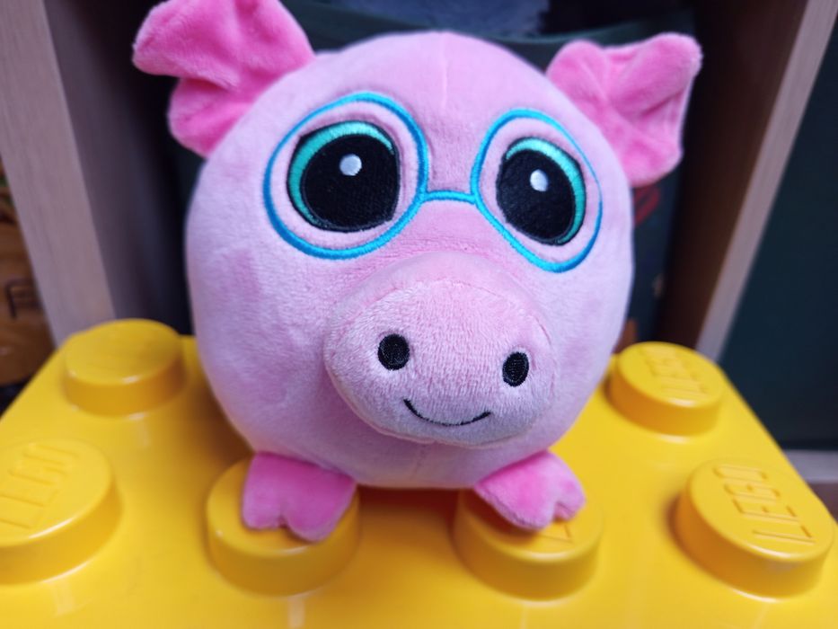 Zabawka świnka Biedronka