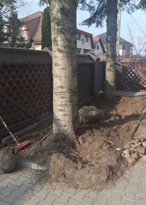 Serwis sprzątający