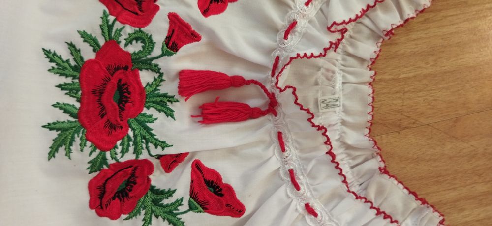 Вишиванка дічача 10 років