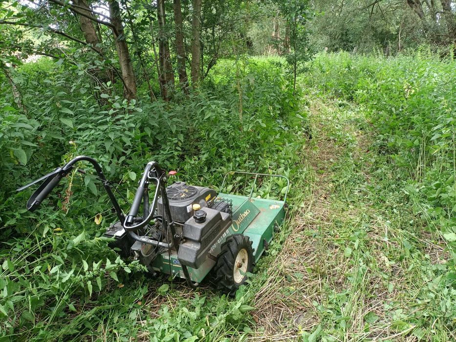 Ogrodnik#Usługi ogrodnicze#Zakładanie ogrodów.