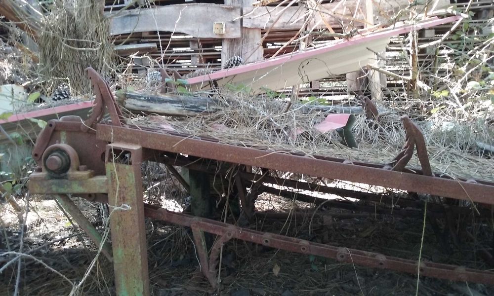 Máquinas de serração, tapetes transportadores de madeira, galgadeiras