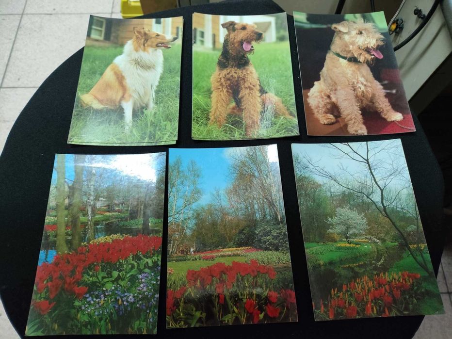 Varios postais vintage coleçoes