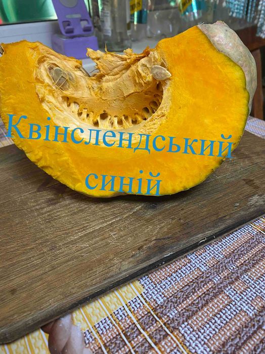 Насіння солодких гарбузів