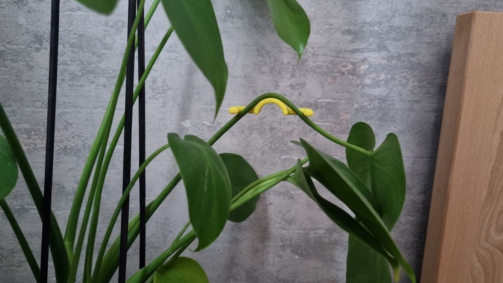 Klipsy LST do roślin do wzmacniania łodyg