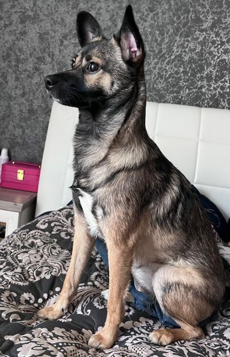 Мила  Бетті шукає родину