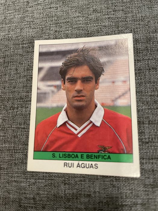Cromo Rui Águas S. L. Benfica 1991
