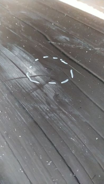 Porsche 911 992 carrera  двері ліві 992831321a